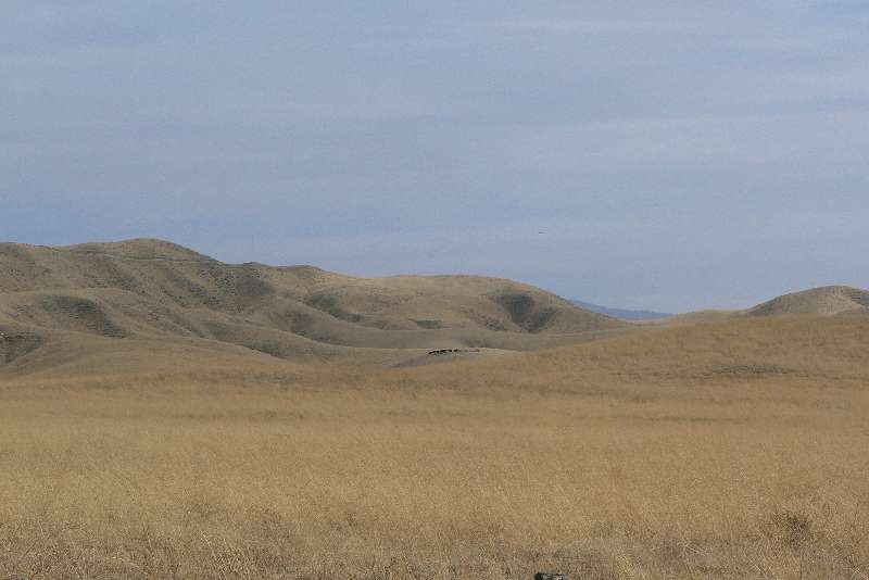 03 Campagna Californiana